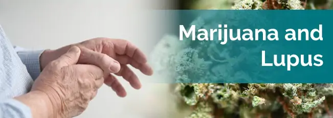 marijuana and lupus
