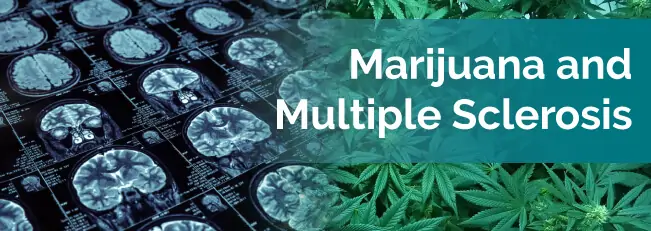 marijuana and ms