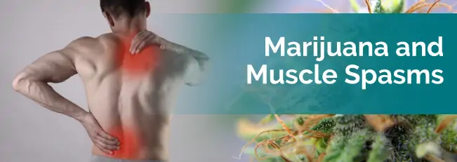 marijuana for muscle spasms