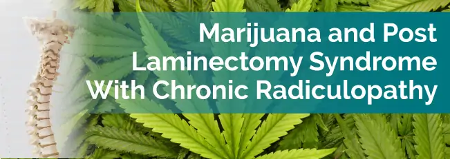 Marijuana and Post Laminectomy Syndrome with Chronic Radiculopathy