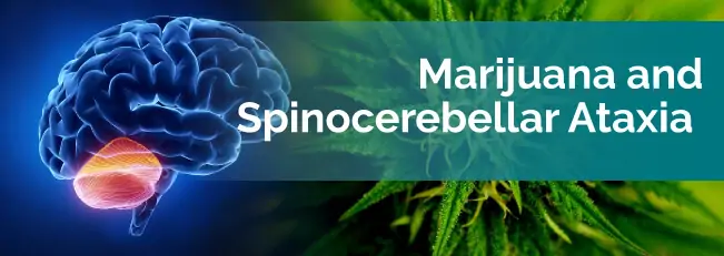 marijuana ans spinocerebellar ataxia