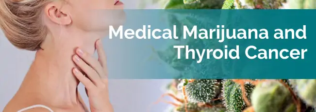 Medical marijuana and thyroid cancer