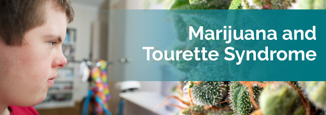 marijuana and tourettes