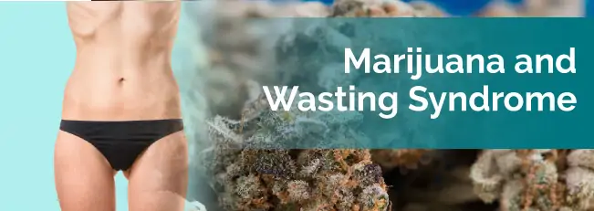 marijuana and wasting syndrome