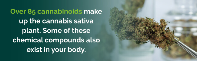 Cannabinoids are also found naturally in the body