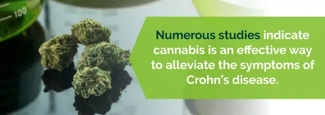 marijuana crohns studies