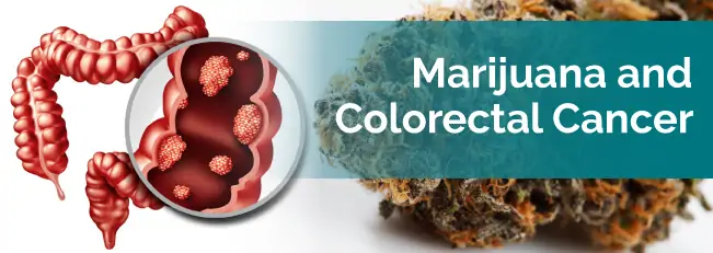 Marijuana and Colorectal Cancer