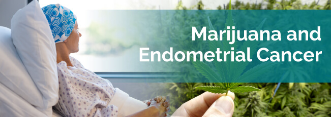 marijuana for endometrial cancer