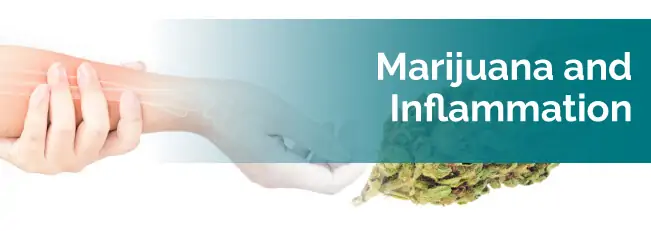 Marijuana and inflammation