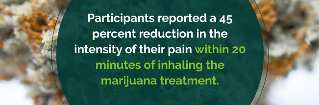 marijuana for pain