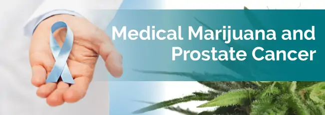 Medical marijuana and prostate cancer