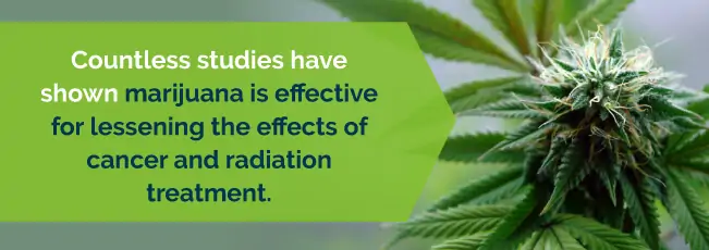 marijuana reduces the effects of cancer and radiation
