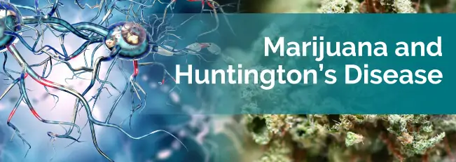 marijuana and huntingtons disease