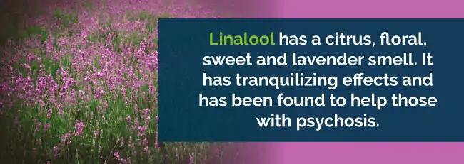 marijuana linalool 