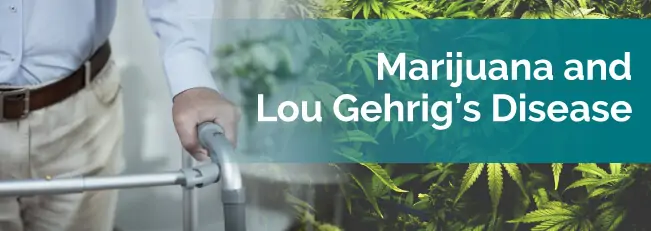 marijuana and lou gehrigs