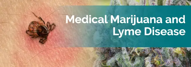 marijuana and lyme disease