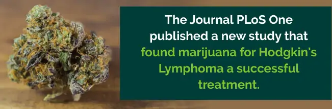 Marijuana for Hodgkin's Lymphoma treatment
