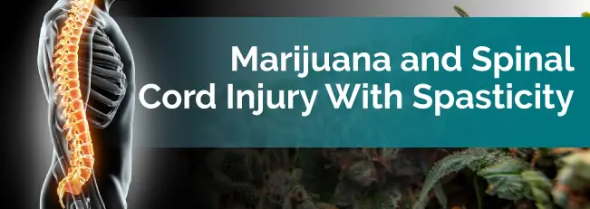 Marijuana and Spinal Cord Injury