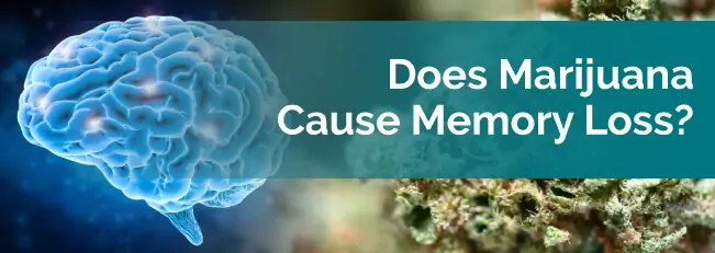 Does Marijuana Cause Memory Loss