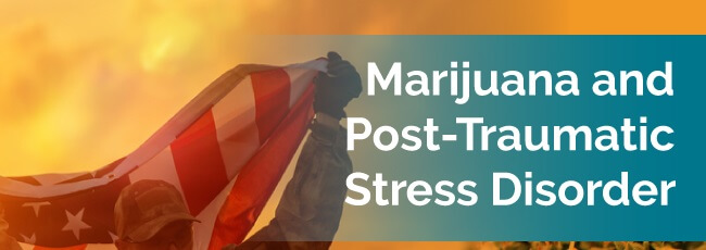 marijuana and ptsd