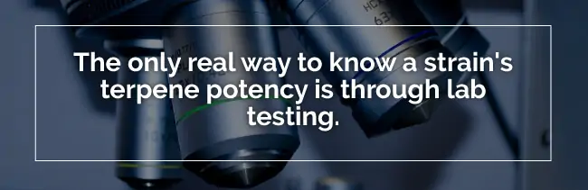 terpene testing