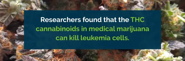 thc kills leukemia