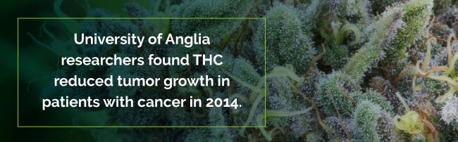 THC reduced tumor growth in cancer patients