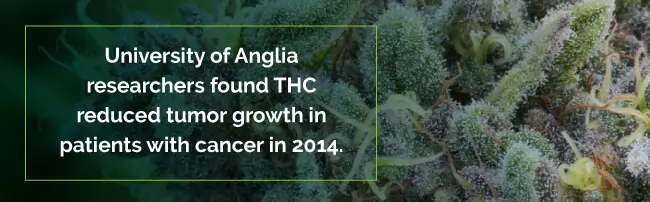 THC reduced tumor growth in cancer patients
