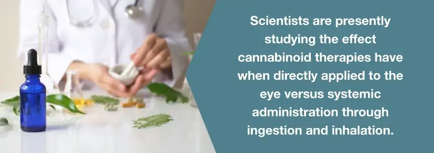 marijuana eye research