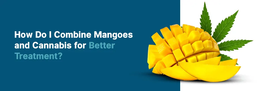 combine mangoes and cannabis