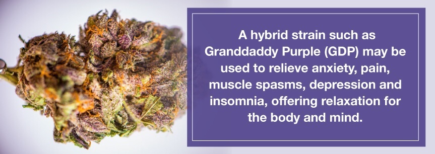 grandaddy purple