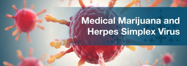 Cannabis and Herpes: Medical Marijuana May Help Treat Herpes Simplex Virus