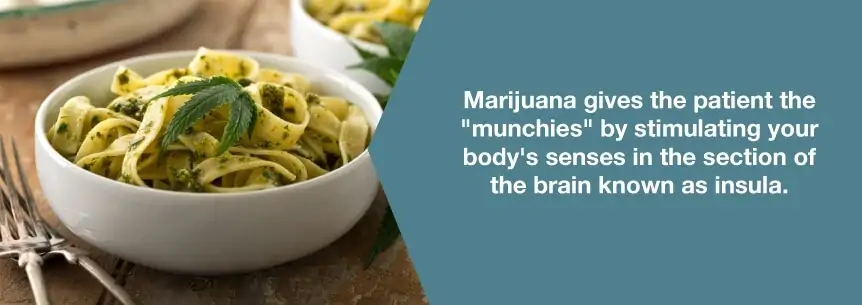 marijuana stimulates appetite