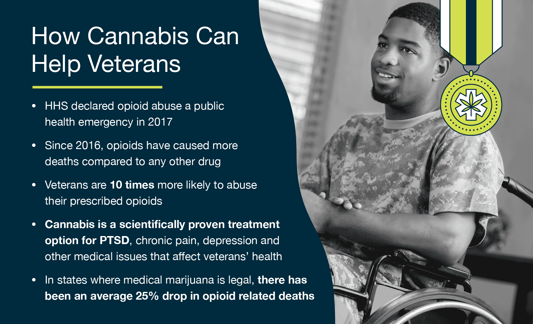 cannabis help for veterans