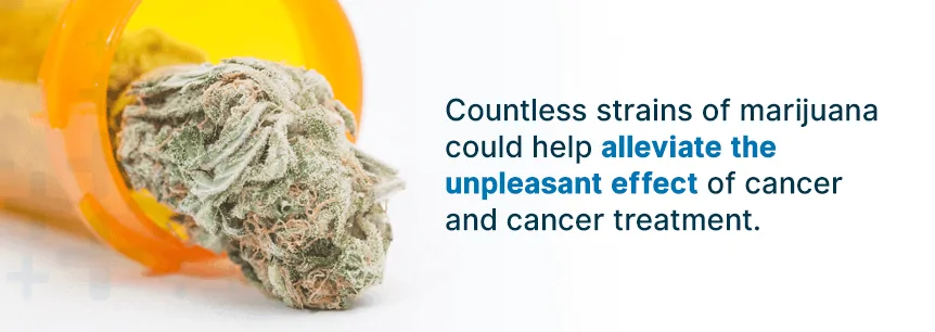best cancer strains