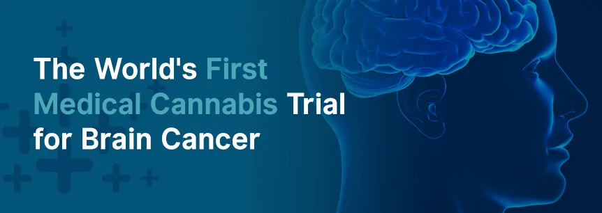 cannabis brain cancer trial
