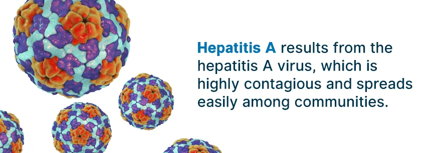 causes of hepatitis a