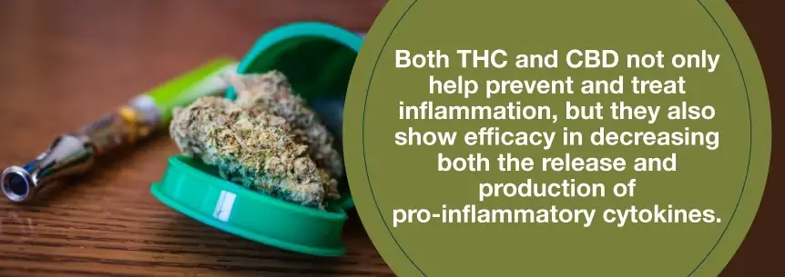 cbd for inflammation