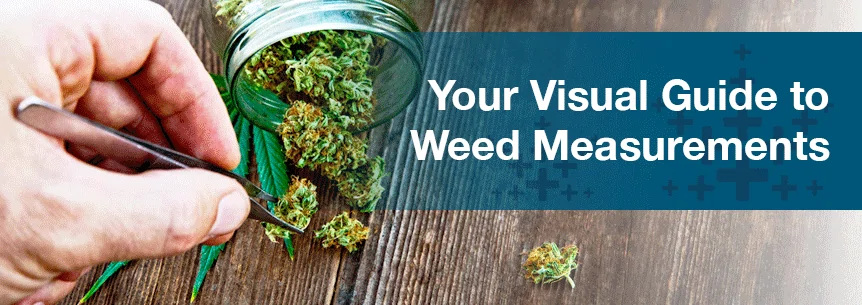 Weed Measurements Guide: Gram, Eighth, Quarter