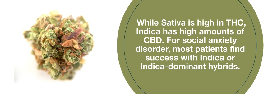 indica strains