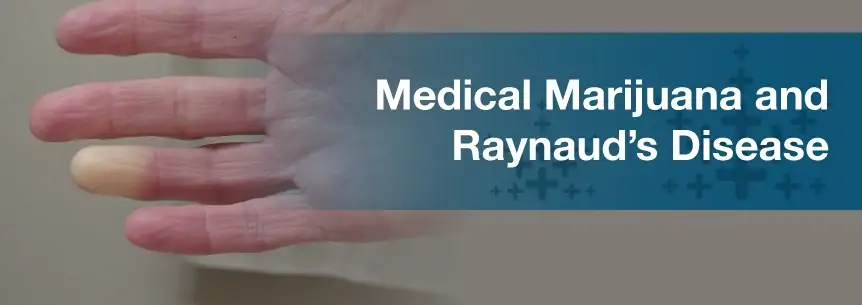 marijuana for raynauds