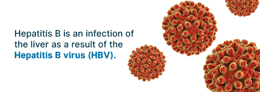 what is hepatitis b