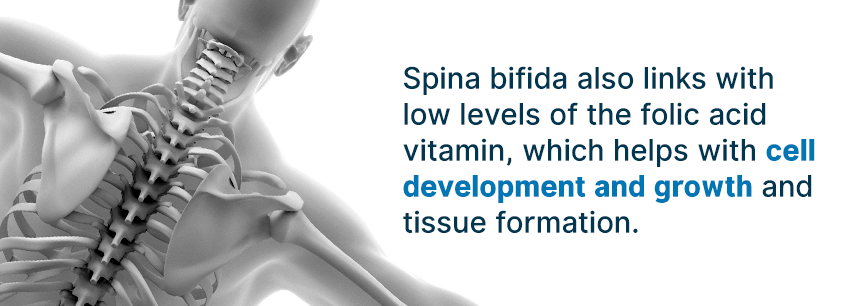 causes of spina bifida