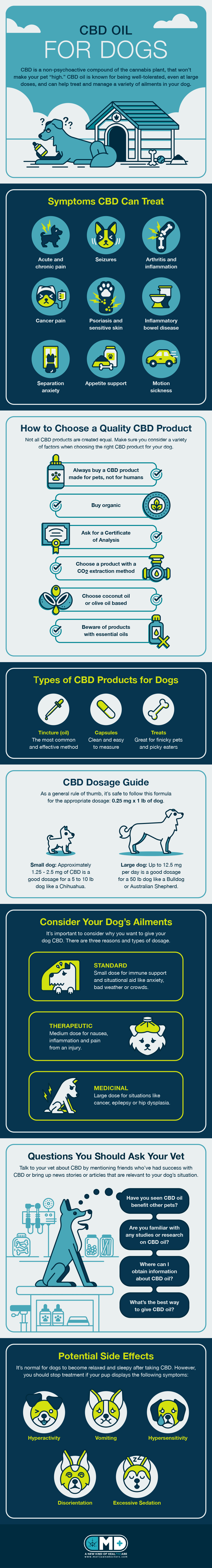 cbd oil for dogs infographic