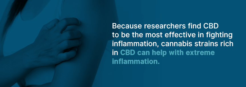 cannabis reduces inflammation