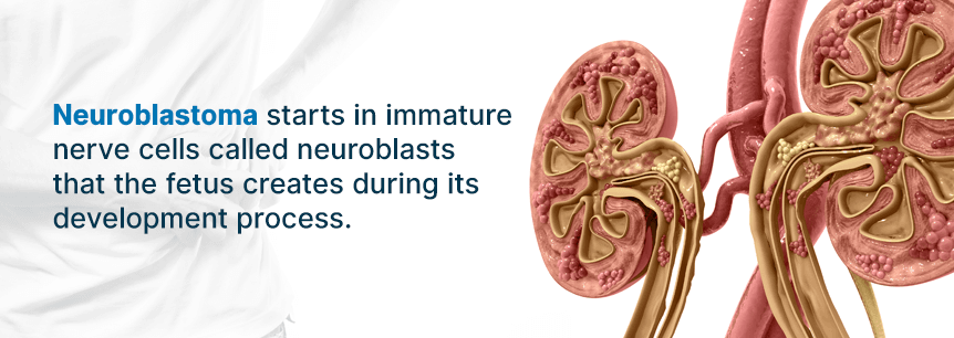 causes of neuroblastoma