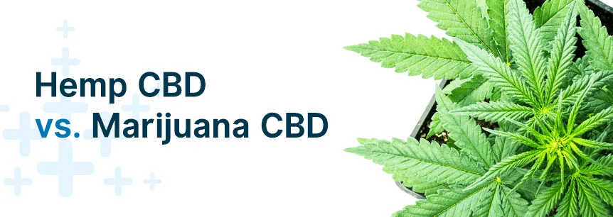 hemp cbd vs marijuana cbd