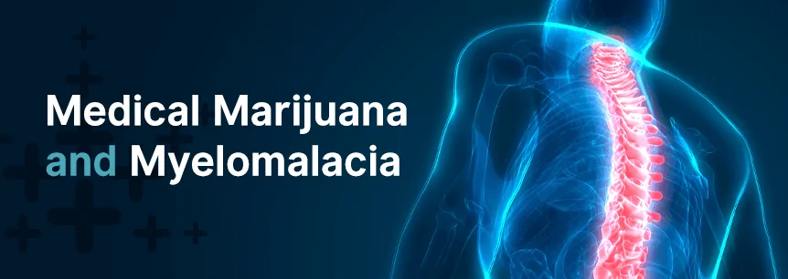 marijuana for myelomalacia