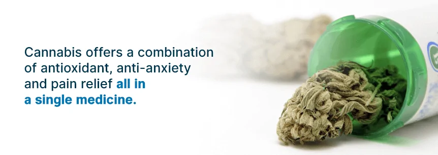 marijuana treats movement disorders