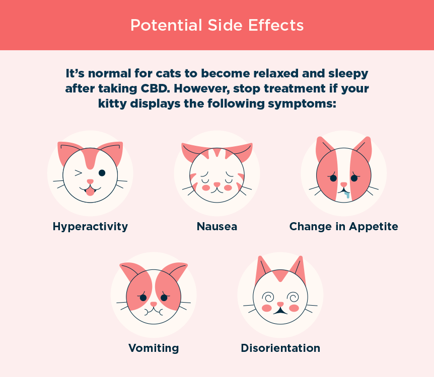 advantage for cats side effects